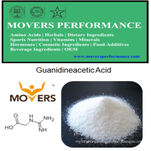 High Quality Human Nutrition: Guanidineacetic Acid